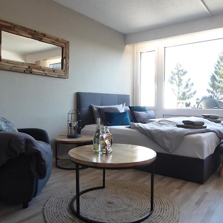 Winterberg Apartment Mountain Suite Pool-Sauna-Terrasse-Hund-4Pers-Bikepark Buitenkant foto